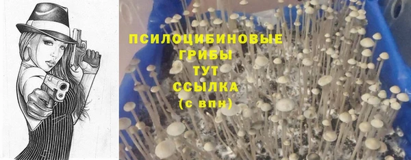 твердый Заволжск